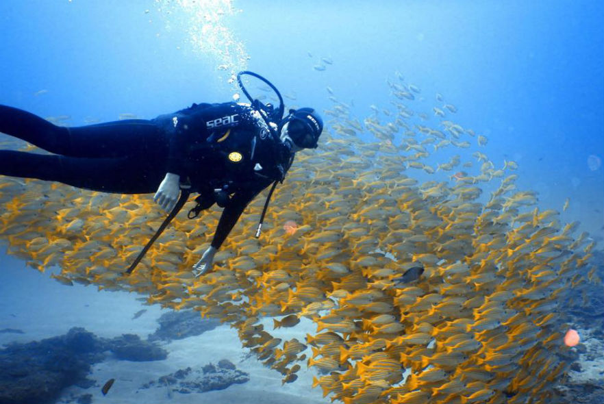 Volunteer diver with a swarm of fish in Sodwana Bay