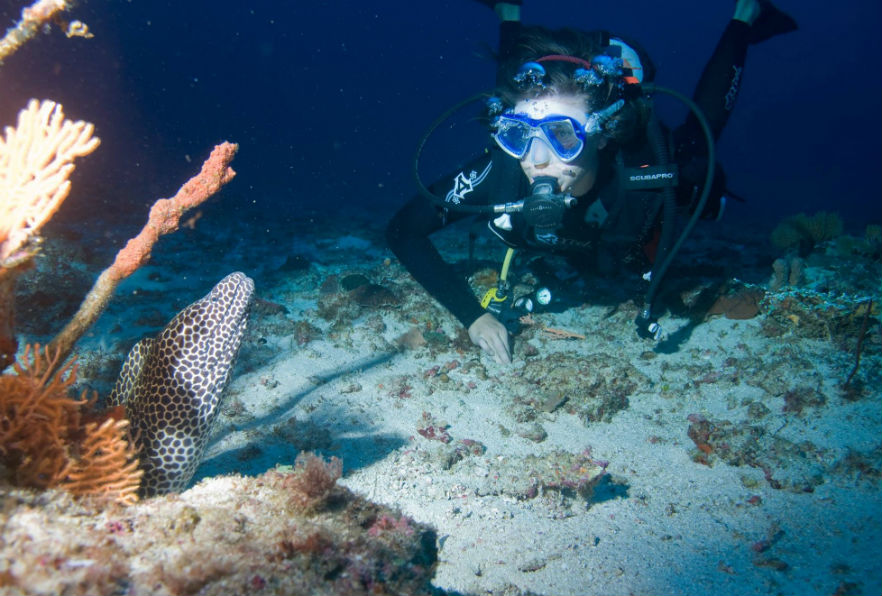 How do volunteers assist with marine conservation in South Africa?