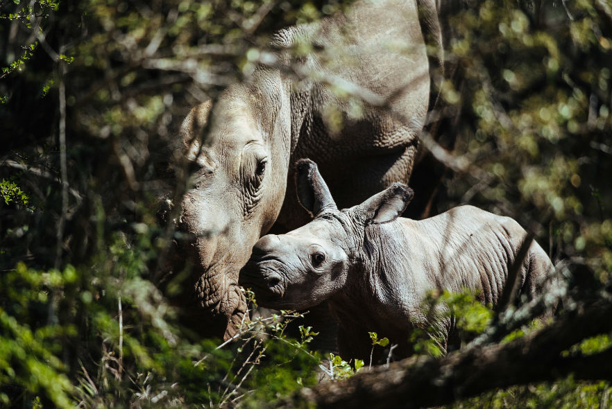 Thandi and her baby