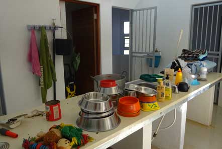 Kitchen with dog bowls for volunteer project