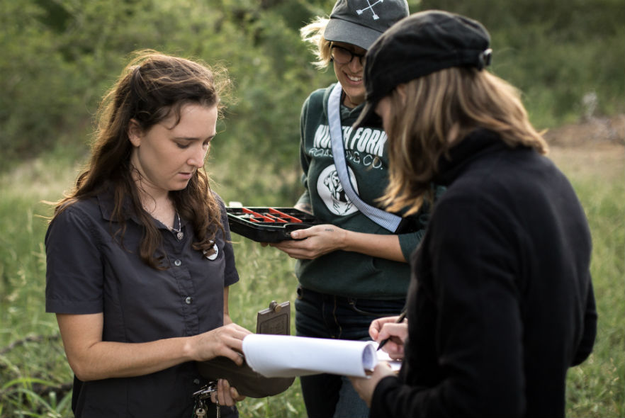 Volunteers working on wildlife conservation 