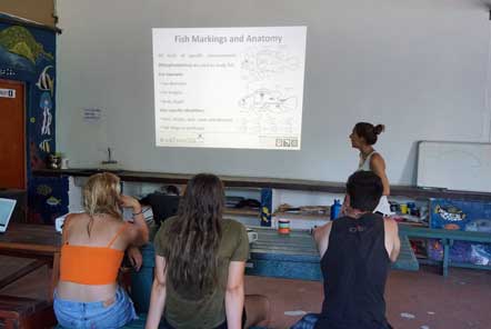 Scuba diving marine conservation lecture