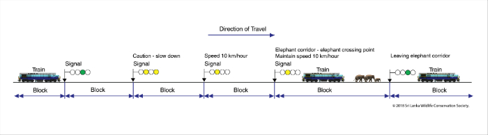 Train line system