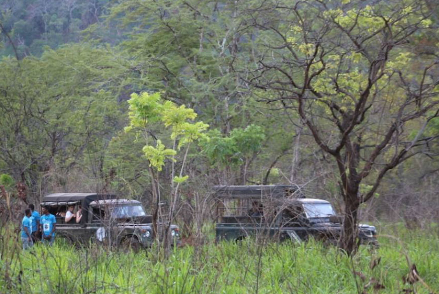 Volunteers travel by Land Rover to observe the wild elephants