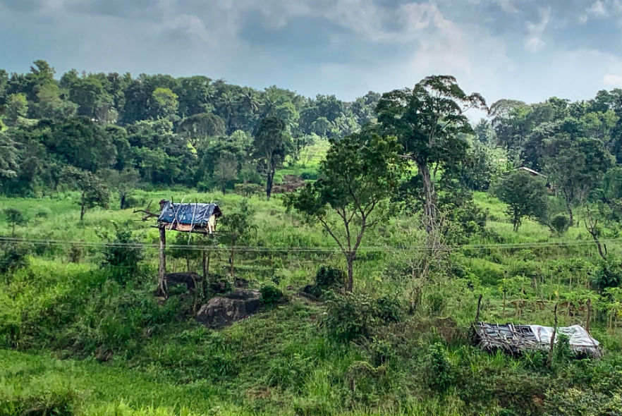 View from the project site - in stunning Sri Lanka