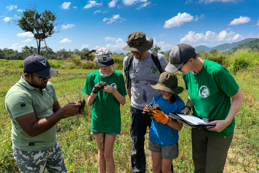 Analysing elephant dung