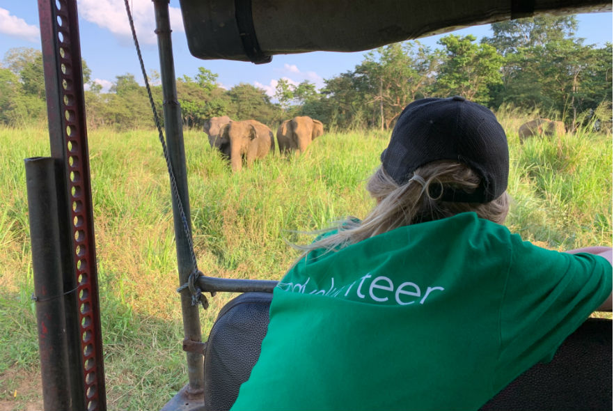 Elephant monitoring from the truck