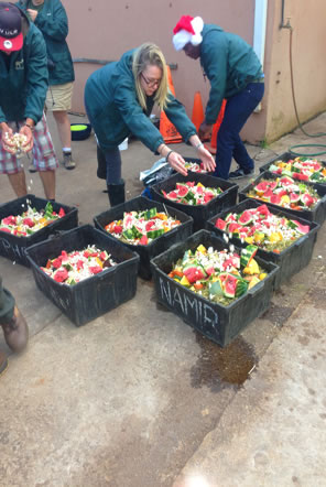 Making Christmas food for the elephants