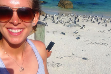 Penguins at Boulders Beach in Cape Town