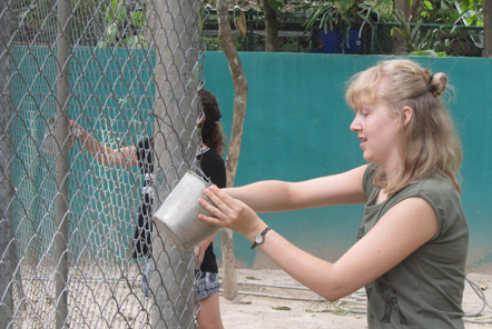 Cleaning water buckets