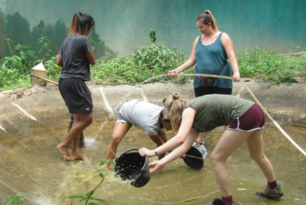 Cleaning a bear pool