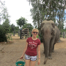 Sophie’s Under 18 Elephant Care and Wildlife Rescue trip guest blog