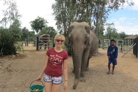 Sophie’s Under 18 Elephant Care and Wildlife Rescue trip guest blog