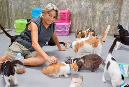Volunteer with rescued cats 