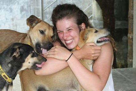 Thailand Dog and Cat Rescue