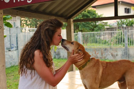 Thailand Dog and Cat Rescue
