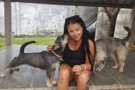 My story: walking puppies and cuddling kittens on a tropical island