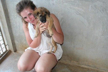 A True Adventure - tales from Thailand Dog and Cat Rescue