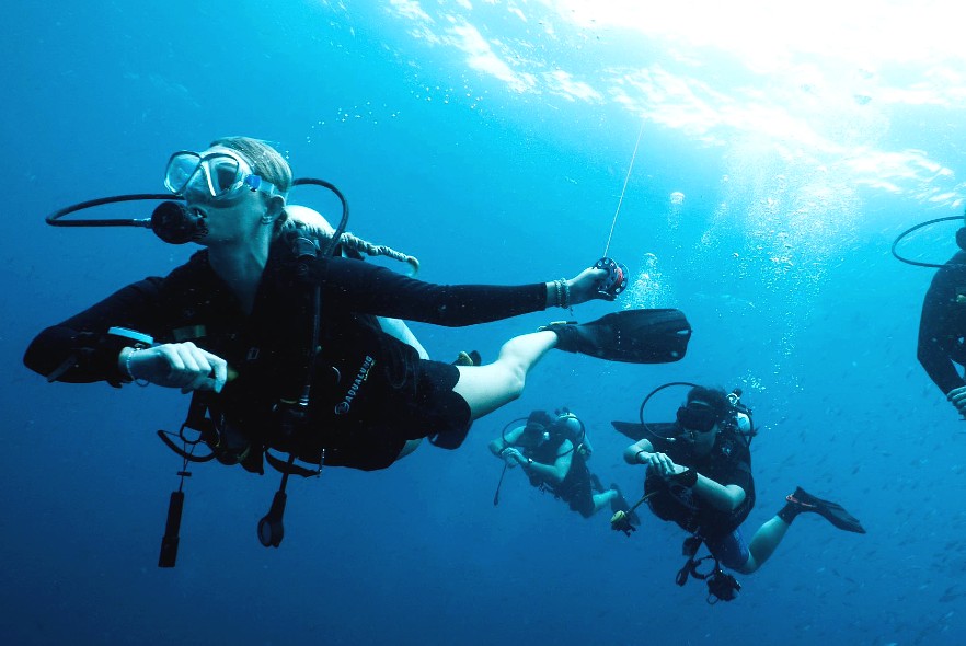 Achievements from our Marine Conservation project – 2025