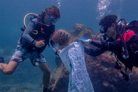 Divers collecting samples in Thailand 