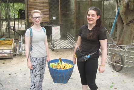 U18 Elephant Care in Thailand