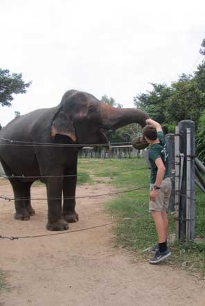 U18 Elephant Care in Thailand