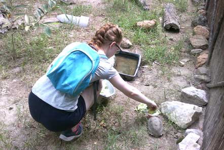 U18 Elephant Care in Thailand