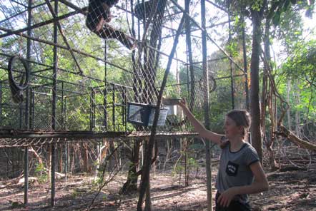 U18 Elephant Care in Thailand