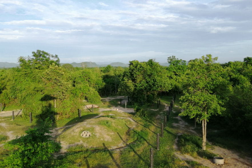 Tropical animal sanctuary in Thailand