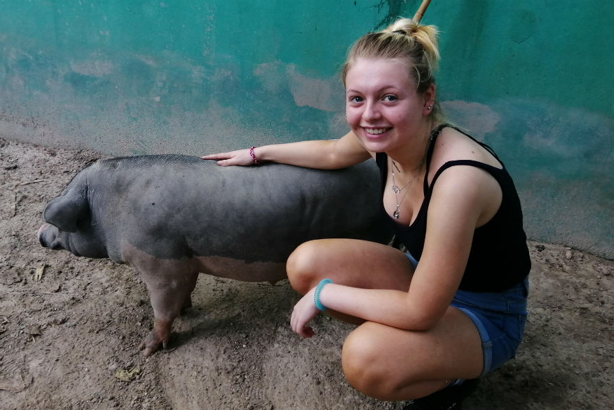 Volunteer caring for one of the many animals living at the sanctuary