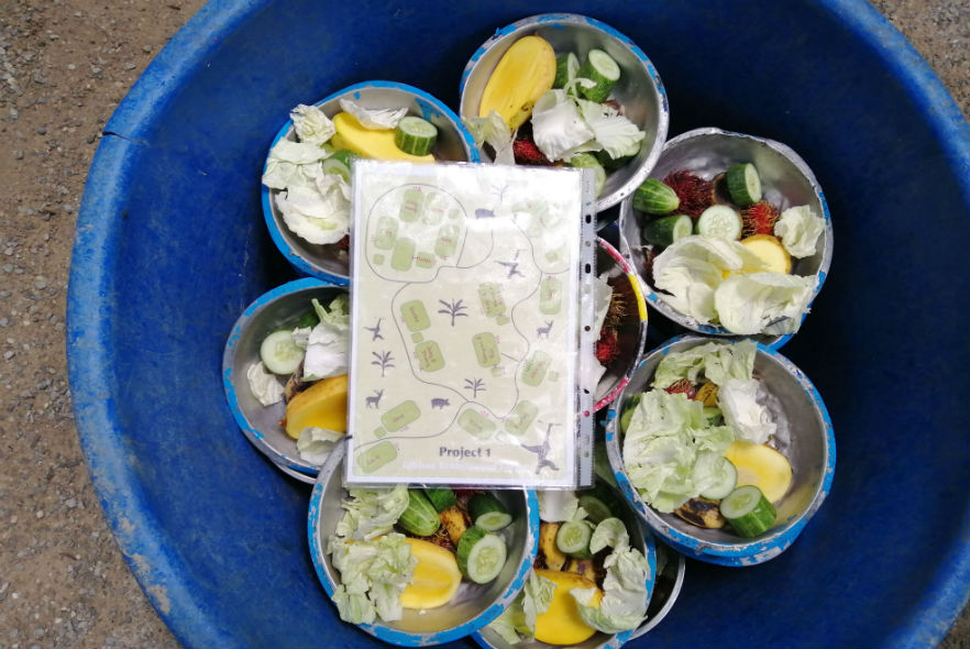 Animal vegetable bowls for wildlife project 