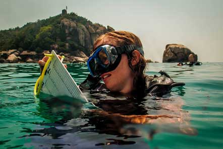 Diver in water with chart