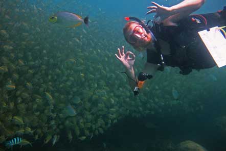 Diver with coral and fish