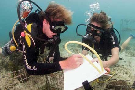 Marine conservation survey