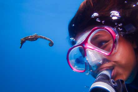 A year in numbers for our Marine Conservation project in Thailand