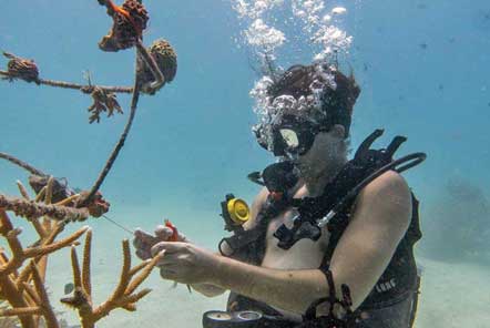 Securing the artificial reef