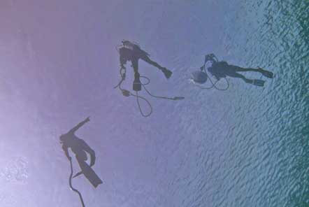 A group of divers