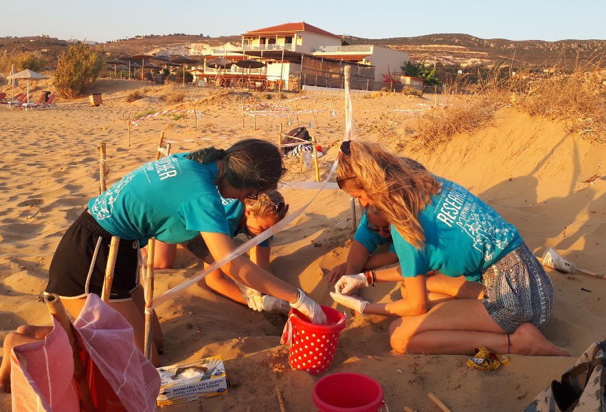 volunteers helping turtles in Greece