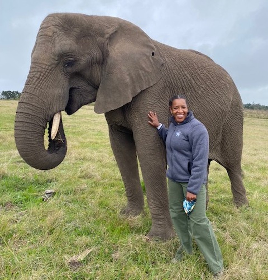 volunteer and elephant