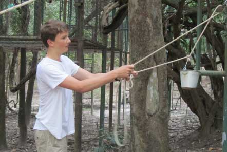 Volunteer setting up enrichments