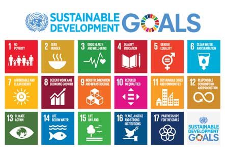 Sustainable Development Goals Infographic