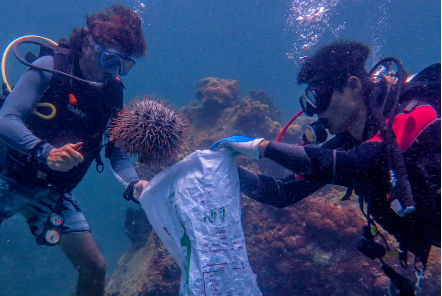 Divers helping with marine conservation in Thailand 