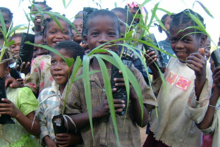 Children in Ghana conserving plants 