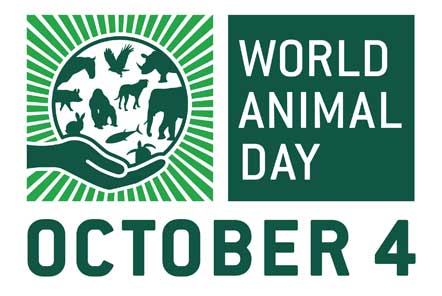 Celebrating World Animal Day 2018