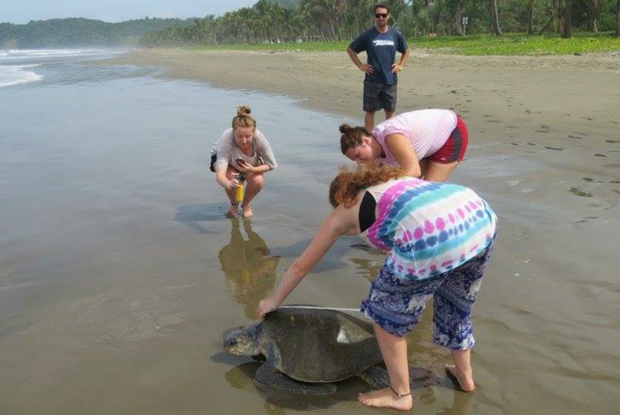 Volunteers on beach