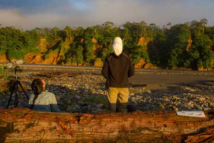 Research in the amazon jungle 