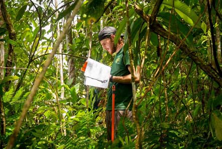 Research in the amazon jungle 