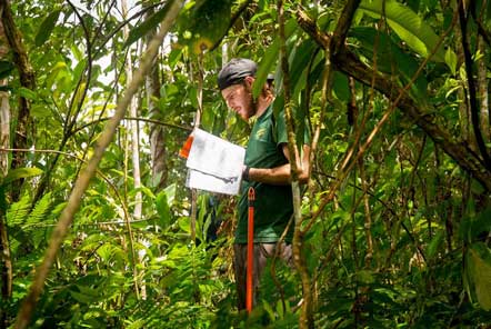 Research in the amazon jungle
