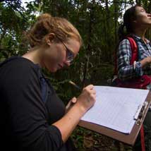 Rainforest research in the amazon