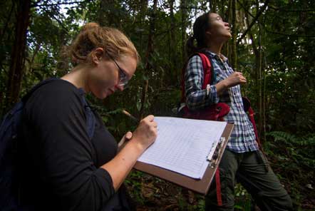 Rainforest research in the amazon